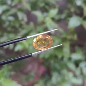 Sunela Pukhraj 2.90ct