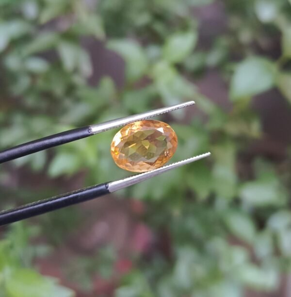 Sunela Pukhraj 2.90ct