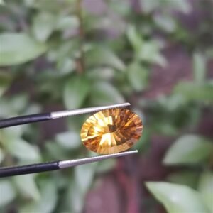 Sunela Pukhraj 4.60ct