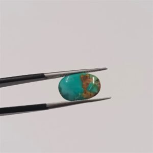 Nishapuri Feroza 2.70ct