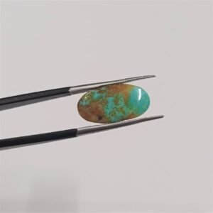 Nishapuri Feroza 5.35ct