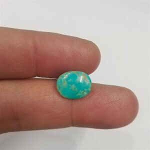 Nishapuri Feroza 3.70ct