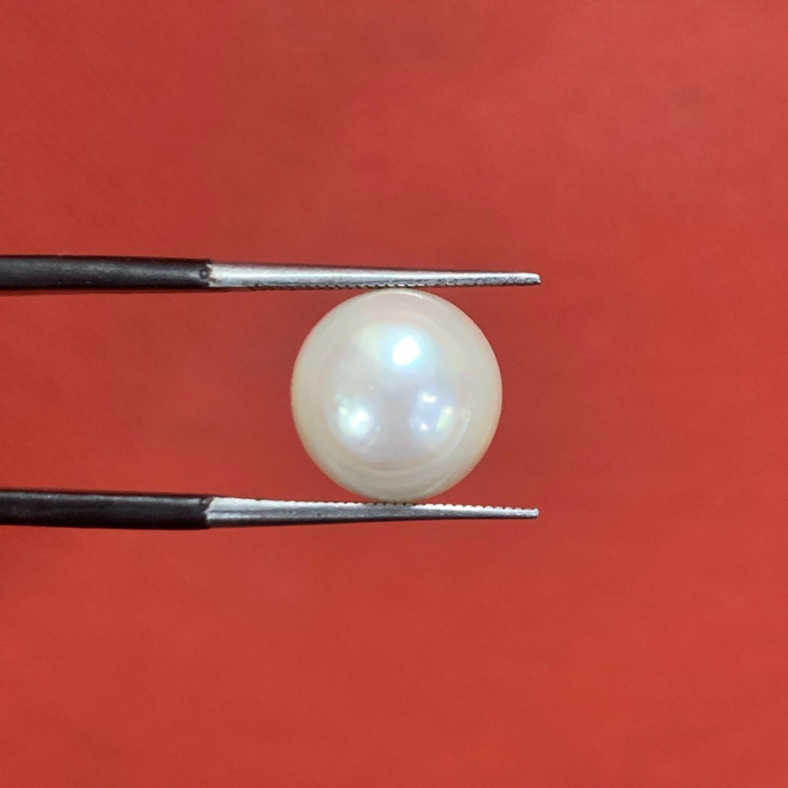 Pearl 8.00ct