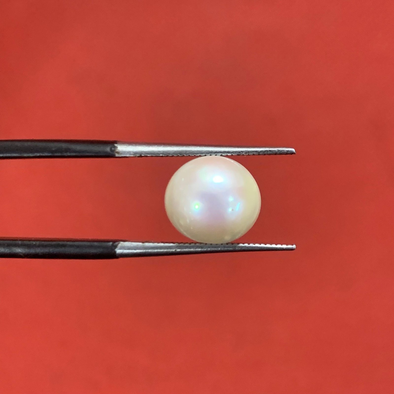 Pearl 3.90ct