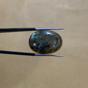 Labraodrite 21.85ct