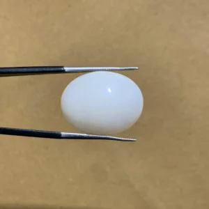 Opal 14.95ct