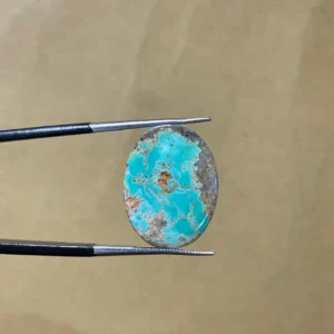 Hussani Feroza 13.10ct