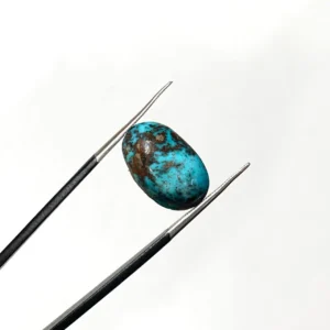 Nishapure Feroza 13.20ct