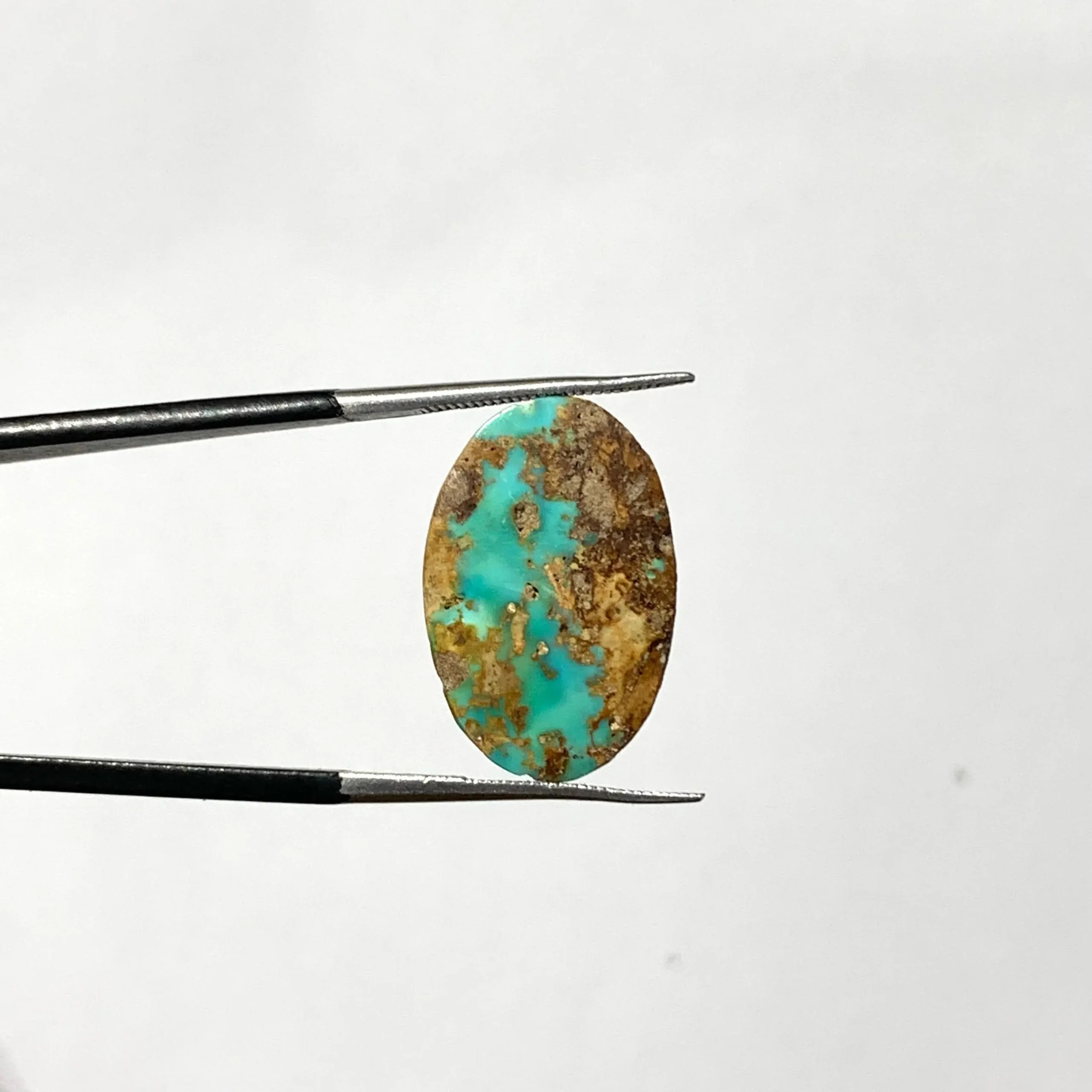 Nishapure Feroza 10.00ct