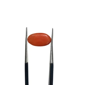 Italian Coral 2.45ct