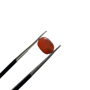Coral 1.00ct