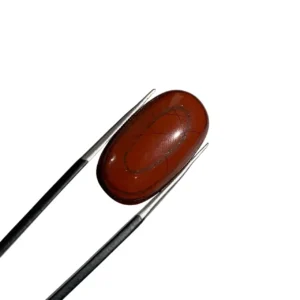 Red Jasper 20.10ct