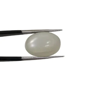 Srilanka Moonstone 9.55ct