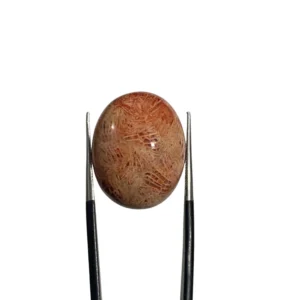 Shajri Aqeeq IDN 21.80ct