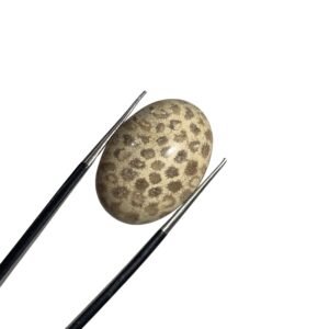 Shajri Aqeeq IDN 31.40ct