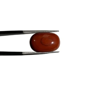 Red Jasper 10.00ct