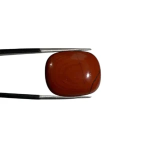Red Jasper 20.05ct