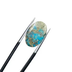 Nishapuri Feroza 6.50ct