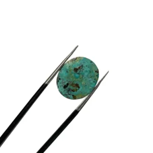 Shajri Feroza 15.95ct
