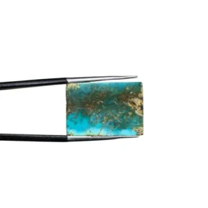 Feroza 21.30ct