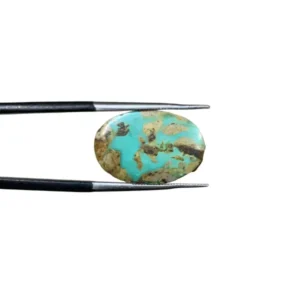 Nishapuri Feroza 10.00ct