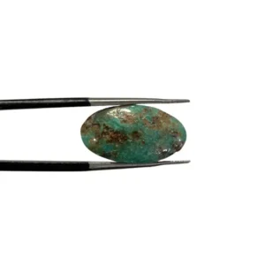 Shajri Feroza 8.60ct