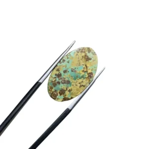 Nishapuri Feroza 11.90ct