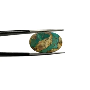 Nishapuri Hussaini Feroza 11.50ct