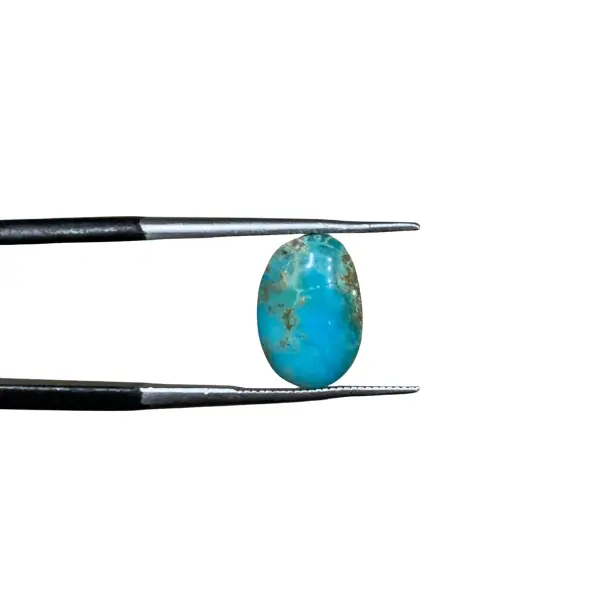 Feroza 1.60ct